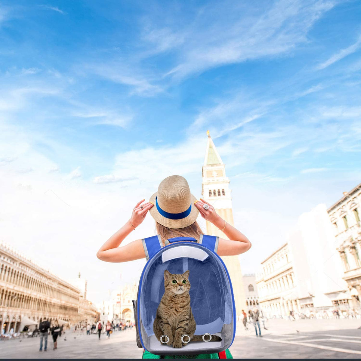 Sac de transport Pixalion pour Chat