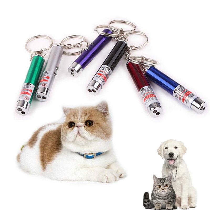 Plumire stylo pointeur lumineux rouge pour animaux