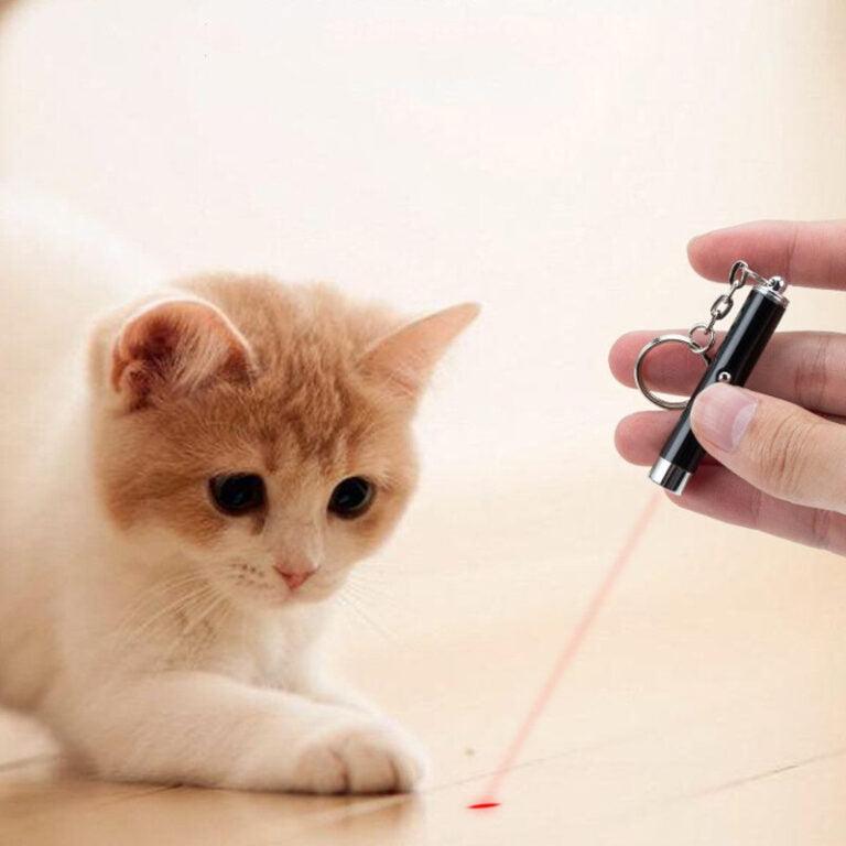 Plumire stylo pointeur lumineux rouge pour animaux