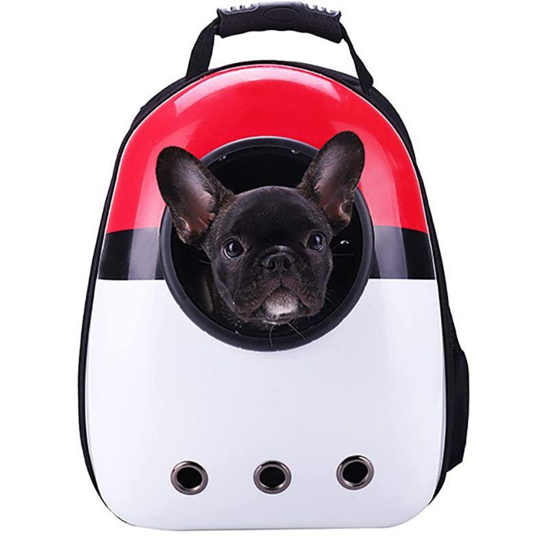 Chatbay Sac a dos de transport  pour chats et chiens